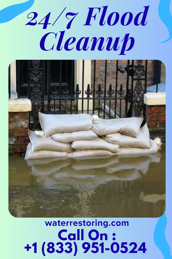 24/7 Flood Cleanup in Woodville, MS
