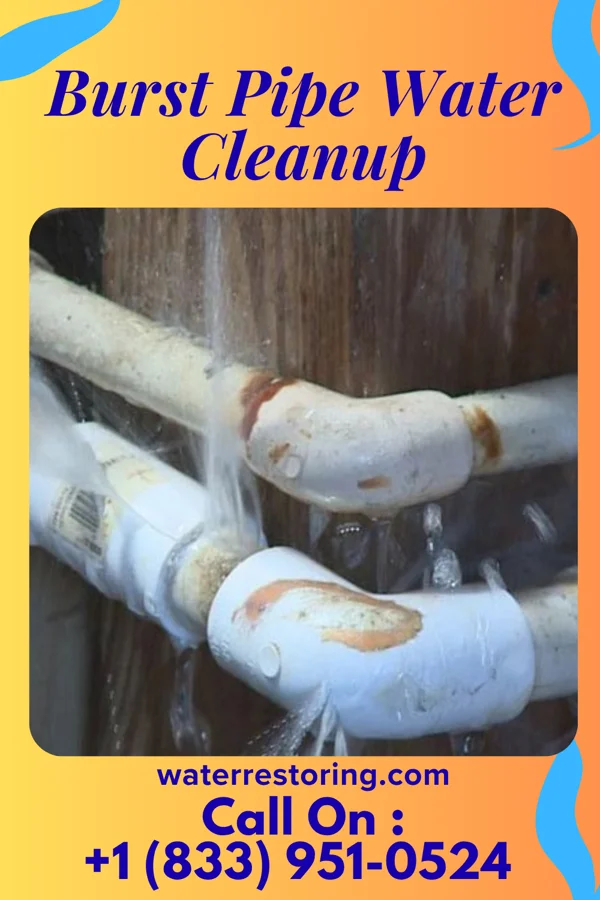 Burst Pipe Water Cleanup in Woodville, MS