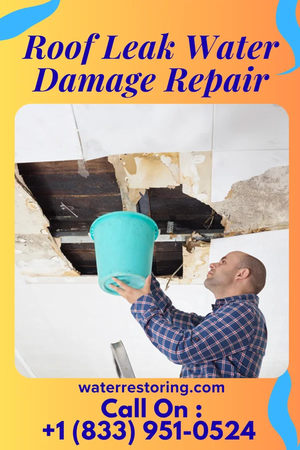 Roof Leak Water Damage Repair in Woodville, MS
